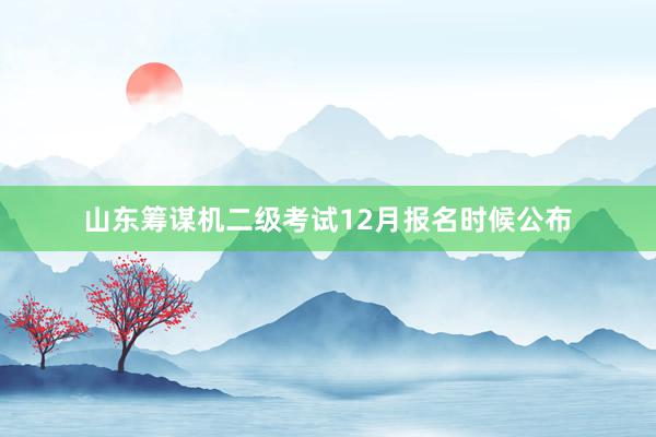 山东筹谋机二级考试12月报名时候公布