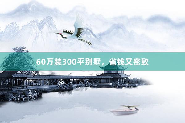 60万装300平别墅，省钱又密致