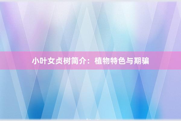 小叶女贞树简介：植物特色与期骗